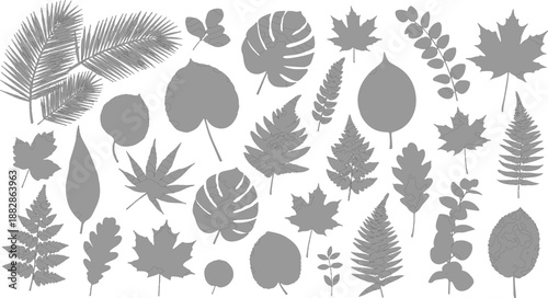 Seamless vector illustration featuring a decorative collection of autumn oak and maple leaves with acorns for a nature-inspired fall foliage wallpaper pattern