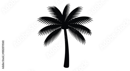 A striking black palm tree illustration dominates the composition presented as a dramatic and elegant silhouette evoking tropical vibes and serenity