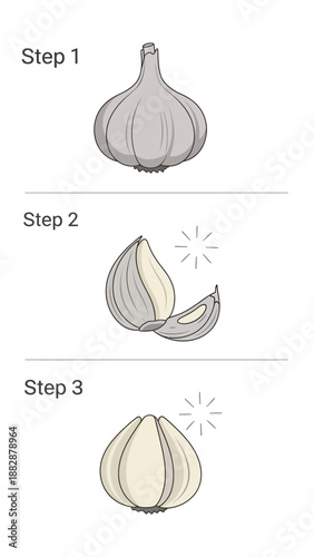 Illustrated Culinary Guide: Unveiling Garlic Stages, From Whole Bulb to Individual Cloves