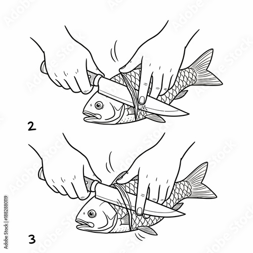 Illustrated Guide: Precise Fish Butchery Techniques and Culinary Preparation Stages for Beginners