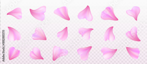 Pink flower petals set isolated on transparent background. Vector realistic illustration of rose or sakura heart shape blossom, design elements for romantic poster, wedding greeting card, spa banner