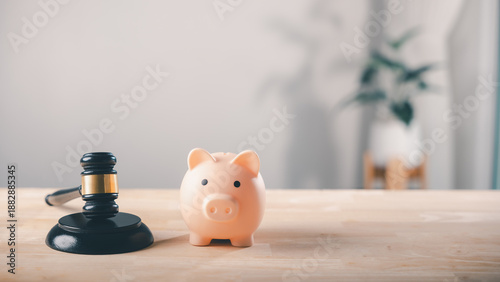 Legal finance services for money bank salary assessment and capital include risk plus tax using pink pig shaped piggy bank and judge gavel for law compliance and court justice