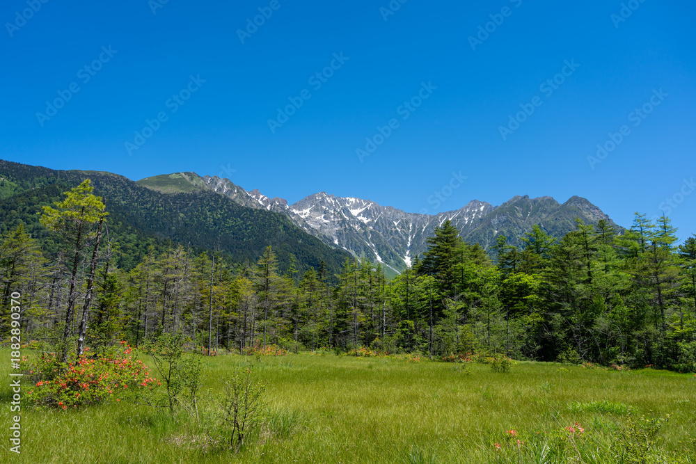 Fototapeta premium Mount Hotaka viewed from Kamikochi hiking trail in Japan