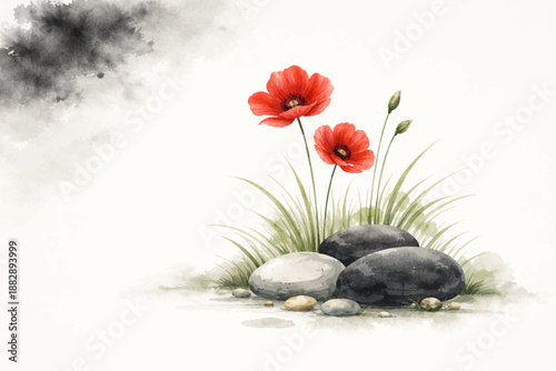 Vibrant red poppies and tranquil stones nestled in green grass with an elegant oriental touch isolated on transparent background, isolated on white background, Vector