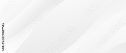 white background with abstract curve shape and swirl line decoration.vector illustration.