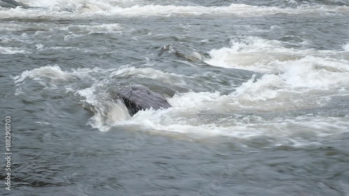 Mountain river, turbulent flow of water rolling over rocks, close-up video
