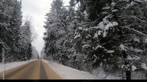 Winter road through a snow-covered spruce forest. Concept of dangerous driving on a slippery and snowy road.