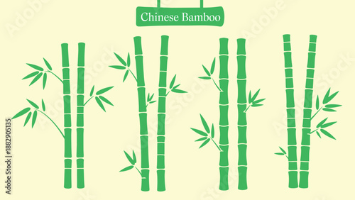 Chinese bamboo tree set asian culture panda ancient traditional decoration background element vector