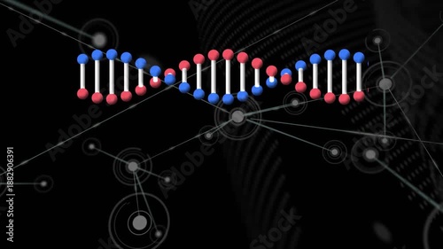Wallpaper Mural Blue and red rotating DNA animation with alpha channel on green. Torontodigital.ca