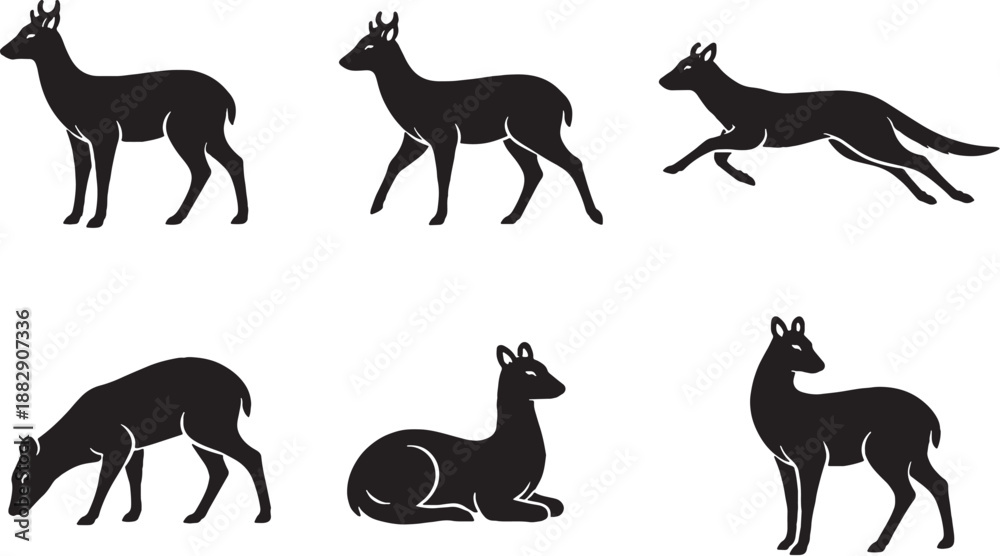 Fototapeta premium Musk Deer Slim Body Black and White Silhouette Bundle