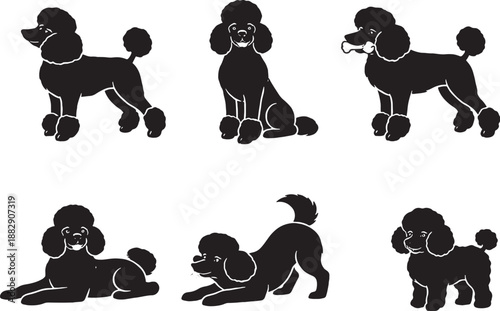 Poodle dog poses black and white silhouette set