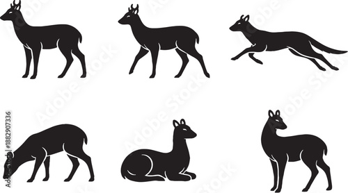 Musk Deer Slim Body Black and White Silhouette Bundle