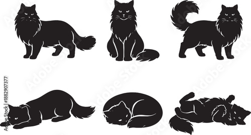 Long haired cat poses black and white silhouette set