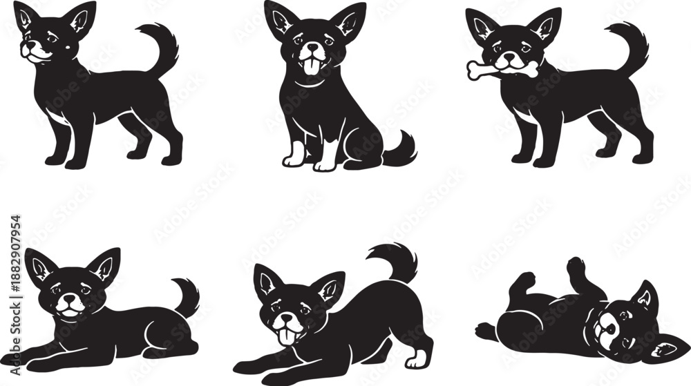 Obraz premium Chihuahua dog poses black and white silhouette set