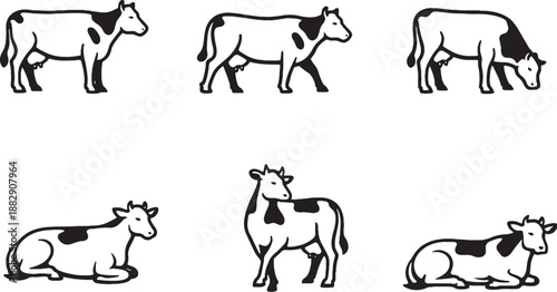 Cow daily postures black and white line art icon set