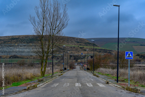 Urbanized street with pedestrian crossing, streetlights and road markings but no houses built, surrounded by overgrown plots under a gray overcast sky, symbolizing abandonment, urban decay and the fai