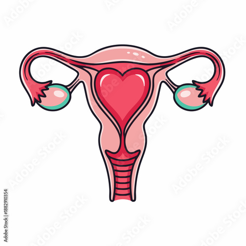 Stylized illustration for womens health, depicting a uterus with a central heart, symbolizing female reproductive well-being. This vital graphic highlights fertility, motherhood,