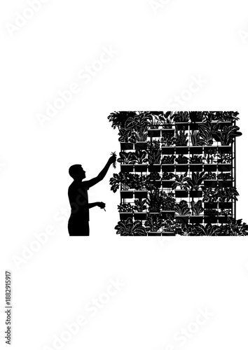 Urban Farming Forager Silhouette, Person Harvesting Vertical Garden Wall, Sustainable Food Production and City Ecology Concept Vector