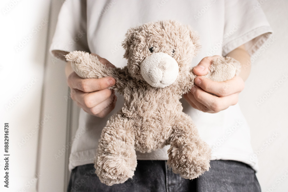 custom made wallpaper toronto digitalAdorable Soft Plush Teddy Bear Held by Child in Casual Clothing - Perfect Gift for Kids and Collectors