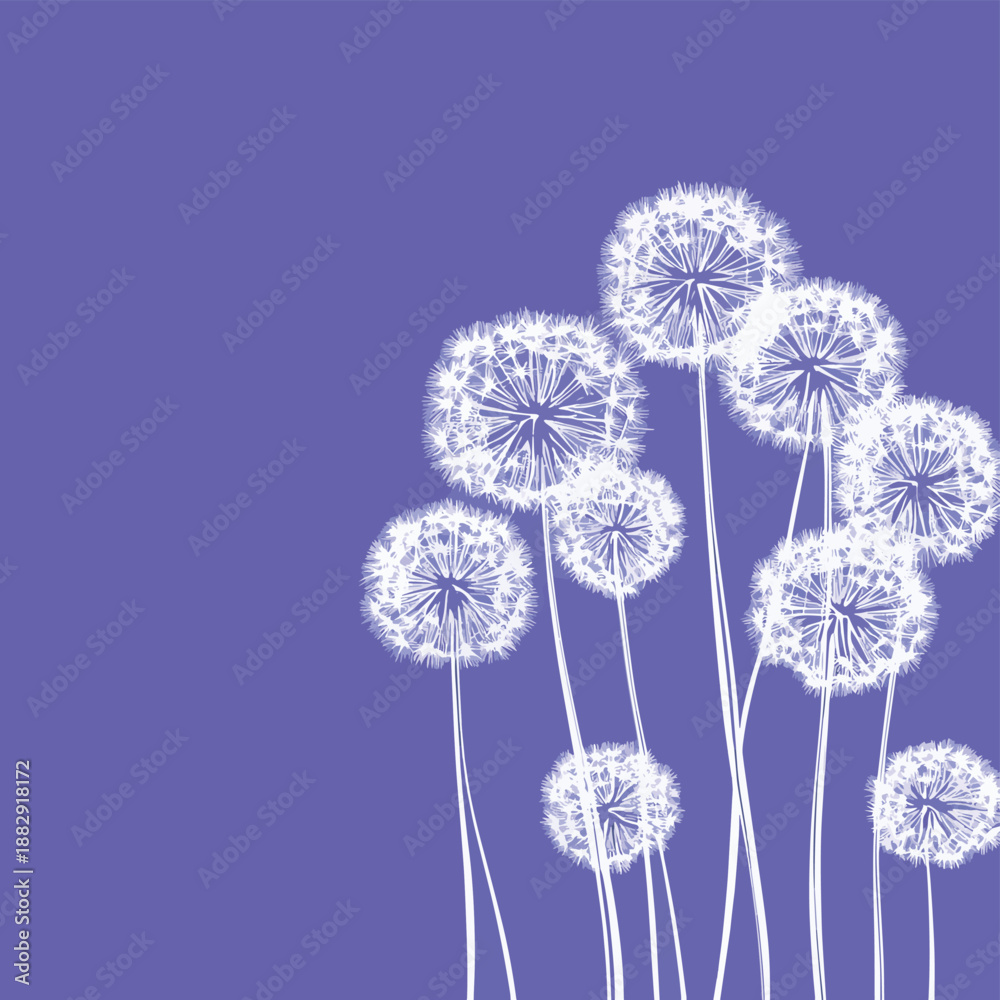 Obraz premium Dandelions on the violet background. Vector dandelion.Card with abstract flowers, dandelions , vector style simple color
