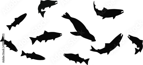 Silhouettes of a swimming seal surrounded by fish in motion, representing marine wildlife behavior, underwater ecosystem dynamics, and aquatic animal interaction in a minimal black graphic style