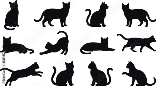 Silhouettes of cats in various natural poses including sitting, walking, running, stretching, and laying, illustrating feline behavior, pet movement, and animal posture in minimalist graphic style