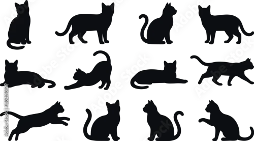 Obraz Silhouettes of cats in various natural poses including sitting, walking, running, stretching, and laying, illustrating feline behavior, pet movement, and animal posture in minimalist graphic style