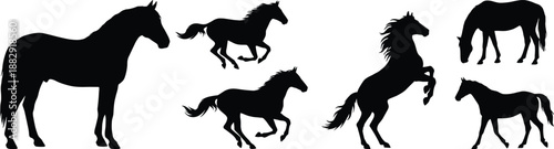 Silhouettes of horses in different natural poses including running, rearing, standing, and grazing, illustrating equestrian motion, wild animal behavior,  dynamic movement in minimalist graphic style