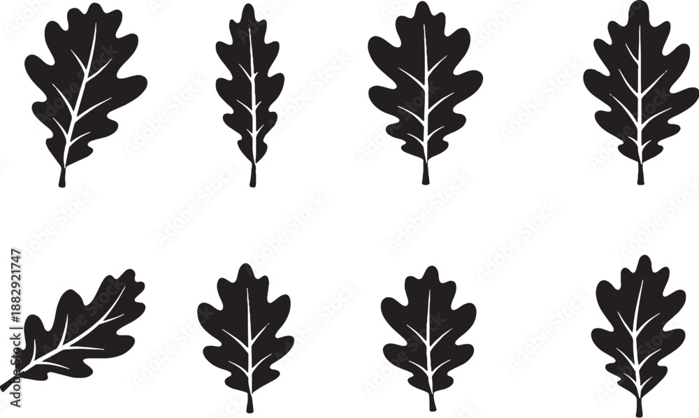 Fototapeta premium Oak Leaf Icon Set Black and White Botanical
