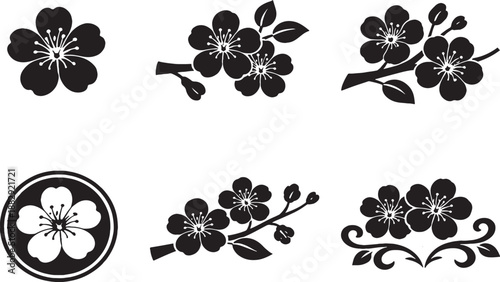Orchid Flower Icon Set Black and White