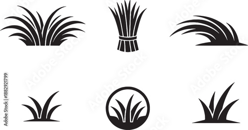 Lemongrass Grass Icon Set Black and White