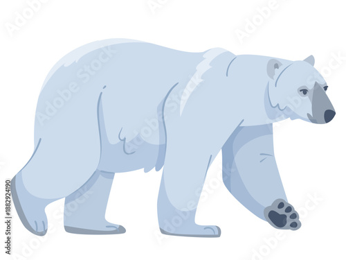 Polar bear walking in side profile with minimal flat color style on white background. Concept of arctic wildlife and animal species. Vector illustration