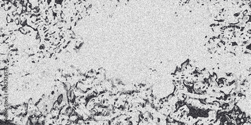 Abstract monochrome background with irregular, porous dark shapes bordering a bright central area, enhanced by granular noise for a textured, organic feel