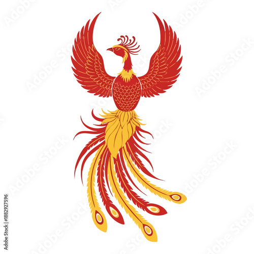 Chinese mythological phoenix illustration