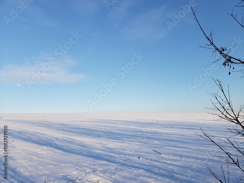 Winter landscape of a snow-covered field under a blue sky