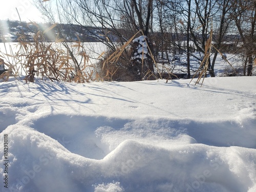 Snow-covered bank of a frozen river