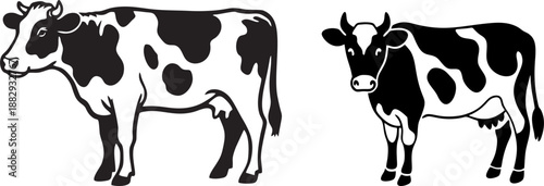 Spotted Dairy Cow Holstein Breed Vector Illustration