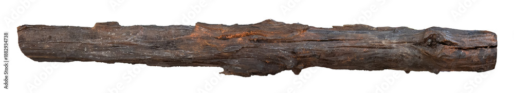 Naklejka premium Driftwood, old branch isolated. Rustic wood branch. Weathered driftwood log isolated. Willow log isolate 