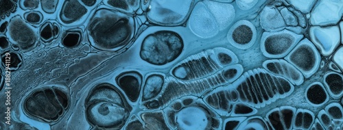 Fotografía Abstract fluid art background in black blue tones with marble texture, cells pat