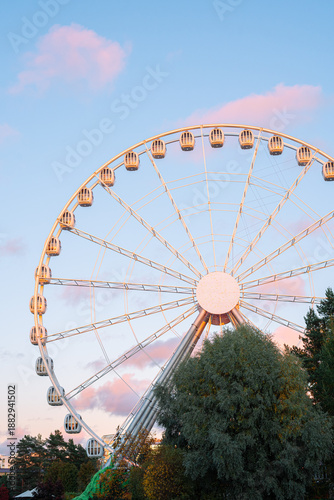 ferris wheel in the park