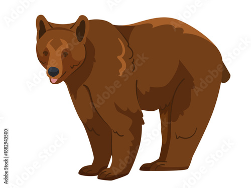 Cartoon-style brown bear standing with tongue out, flat graphic style on white background. Concept of wildlife, forest animal. Vector illustration