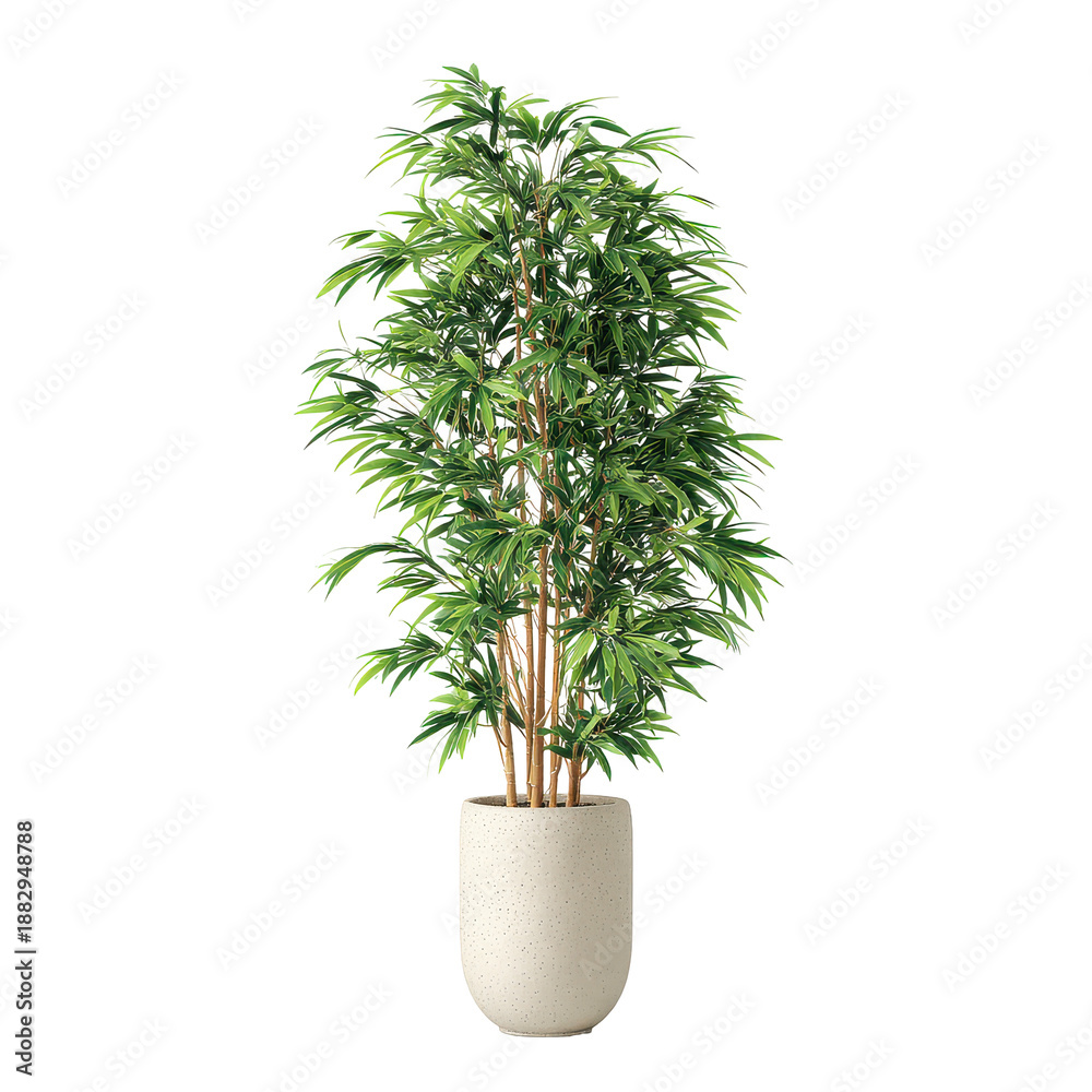 Fototapeta premium Tall green plant in a simple pot placed indoors near a window during daylight hours