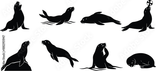 Sea lion silhouette illustration, marine animal clipart, ocean wildlife vector, playful sea lion poses, black animal icons, stock design