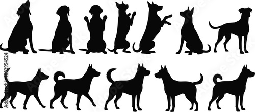Dog silhouettes in various poses, sitting, walking, begging, tail positions, animal behavior, pet design, black shapes, white background, motion