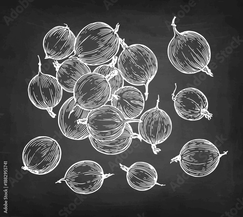 Pile of gooseberries chalk sketch.