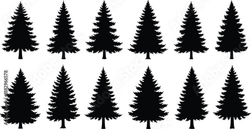 Twelve black pine tree silhouettes arranged in two rows on a white background fir tree