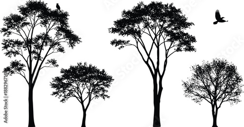 Black silhouette of four trees with detailed foliage and a bird in flight white nature