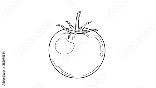 Line art tomato sketch: detailed outline drawing of a juicy tomato