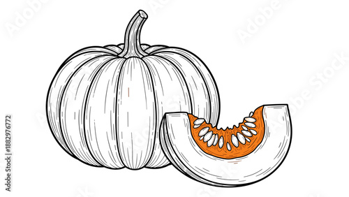 Hand-drawn pumpkin illustration with sliced section showcasing seeds