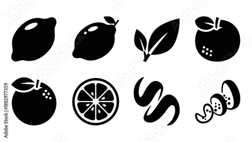 Bold silhouette citrus set with leaves and slices